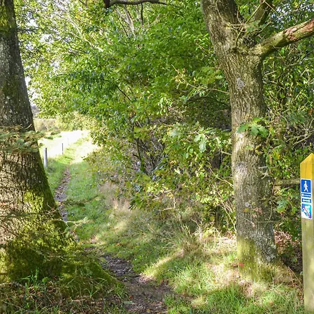 Beautiful In With Wifi * 호프보리